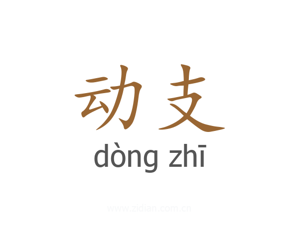 动支