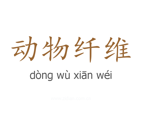 动物纤维
