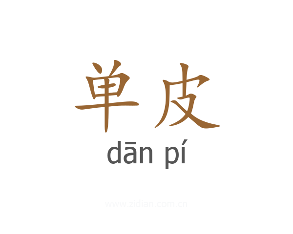 单皮