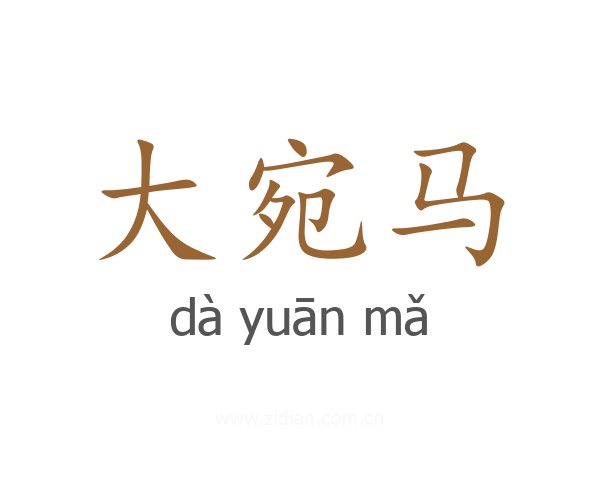 大宛马