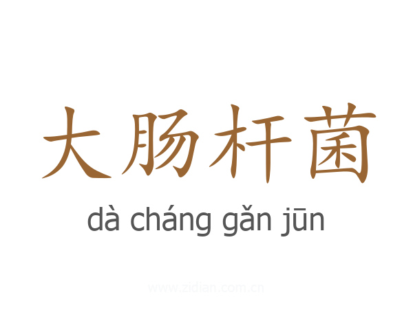 大肠杆菌