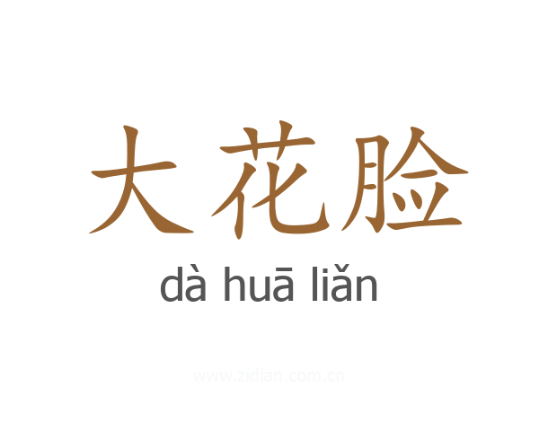 大花脸