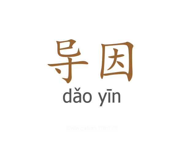 导因
