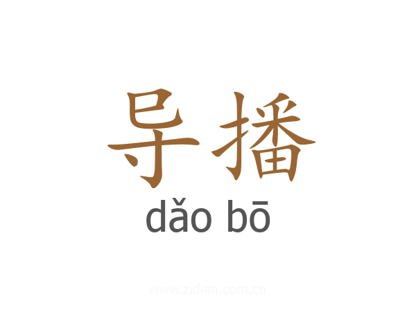 导播