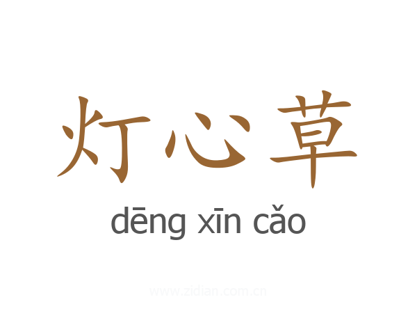 灯心草