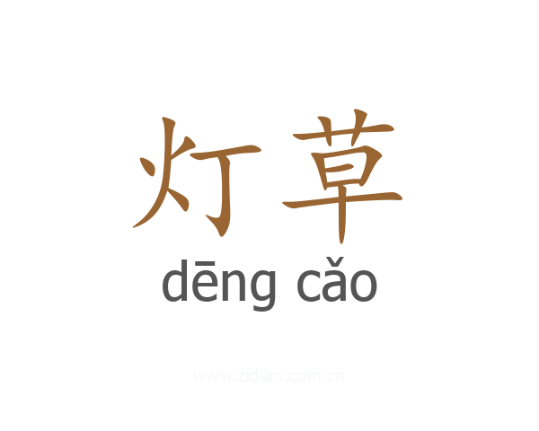 灯草