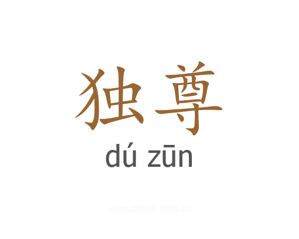 独尊