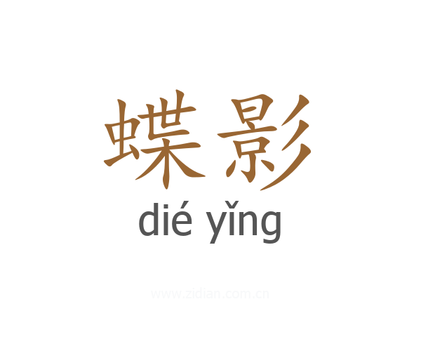 蝶影