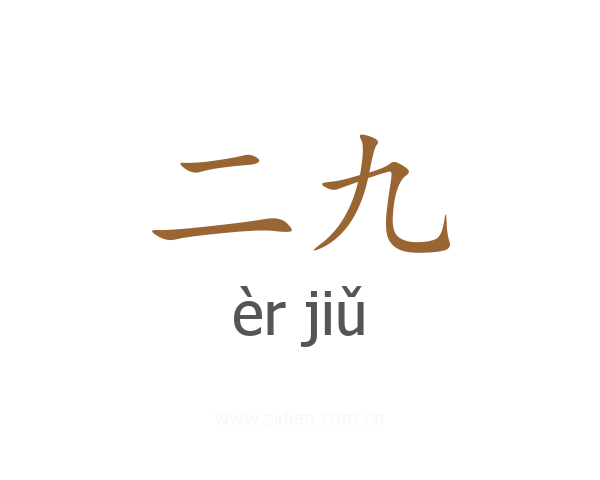 二九