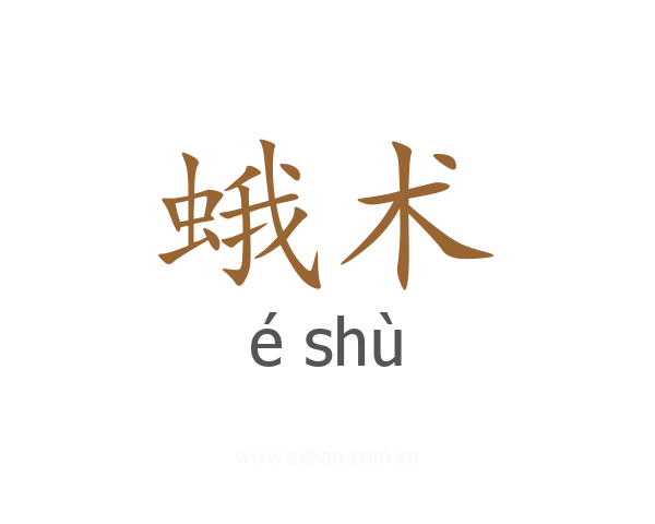 蛾术