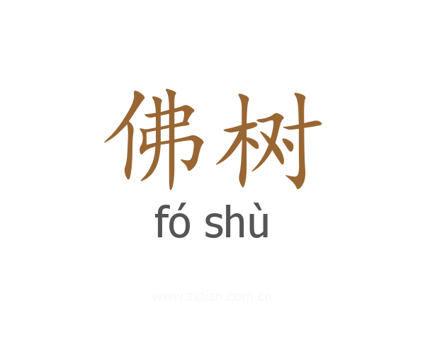 佛树