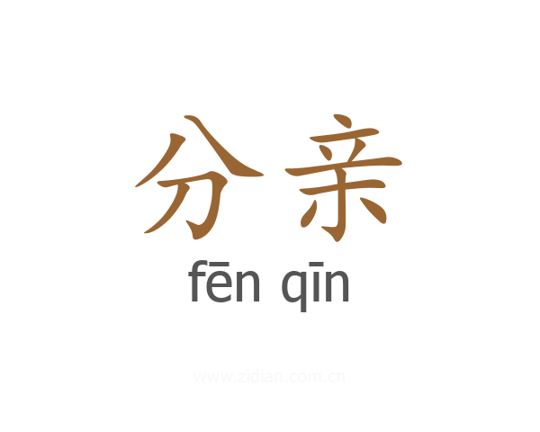 分亲