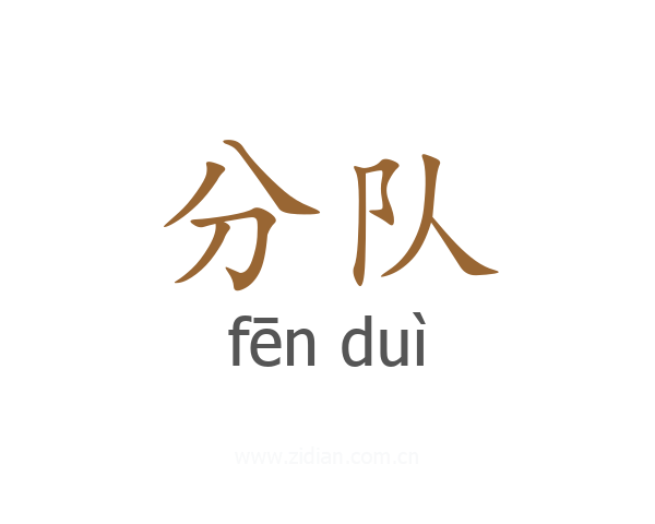 分队