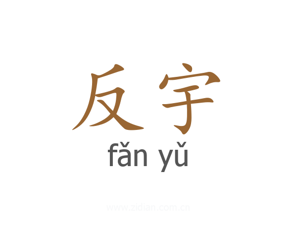 反宇