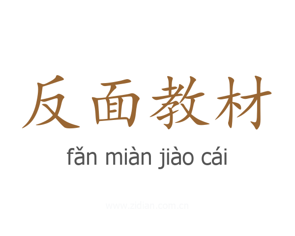 反面教材