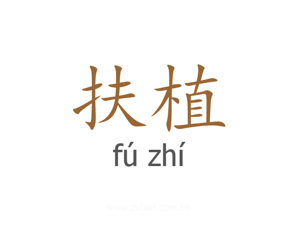 扶植