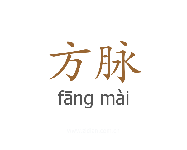 方脉