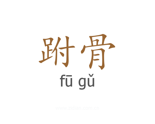 跗骨