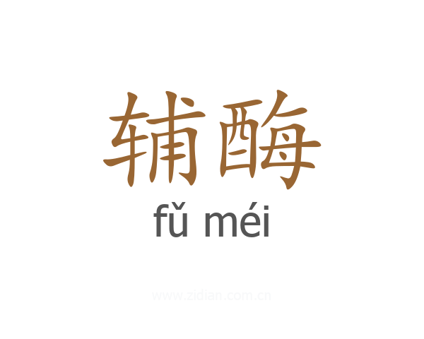 辅酶