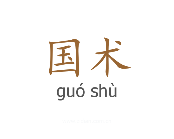 国术