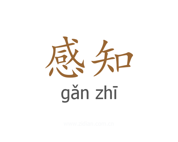 感知