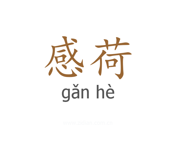 感荷