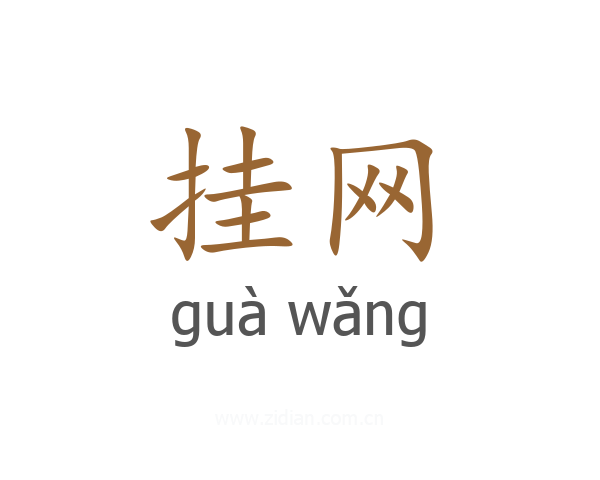 挂网