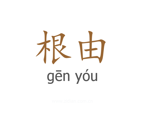 根由