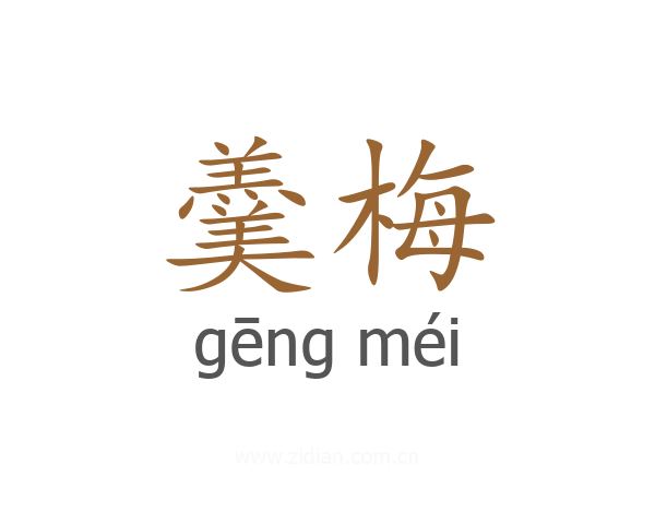 羹梅