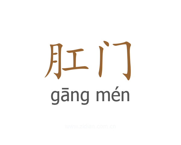 肛门