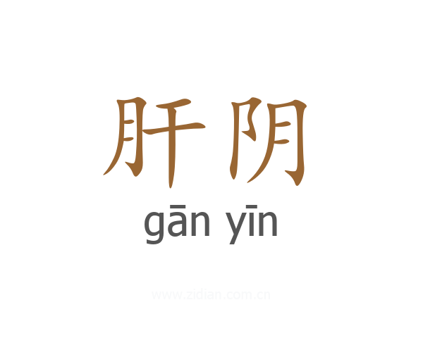 肝阴