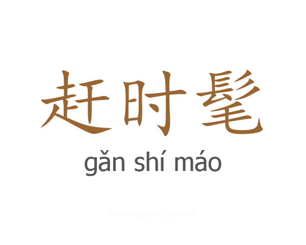 赶时髦