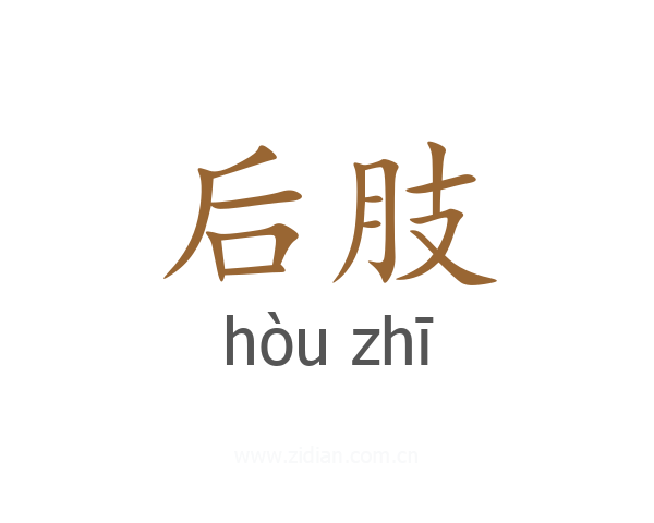 后肢