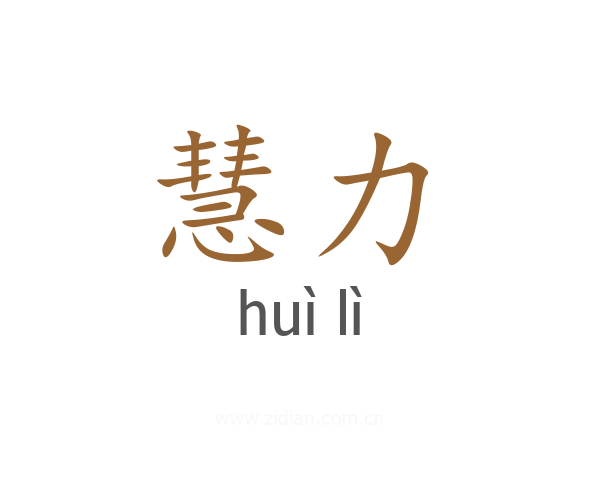 慧力