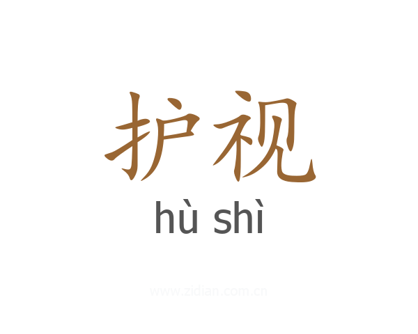 护视