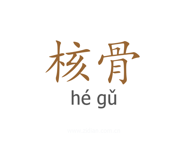 核骨