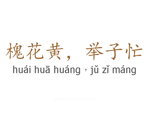 槐花黄,举子忙