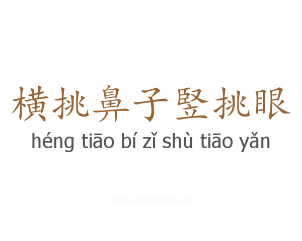 横挑鼻子竪挑眼