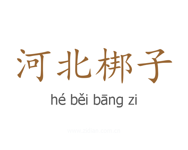 河北梆子