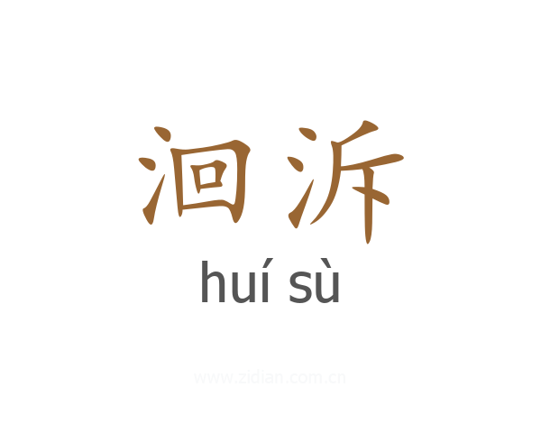 洄泝