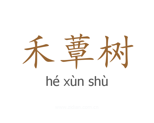 禾蕈树