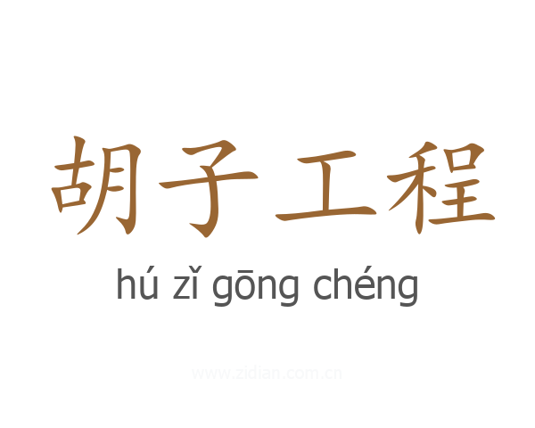胡子工程
