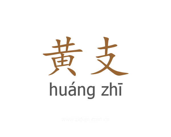 黄支