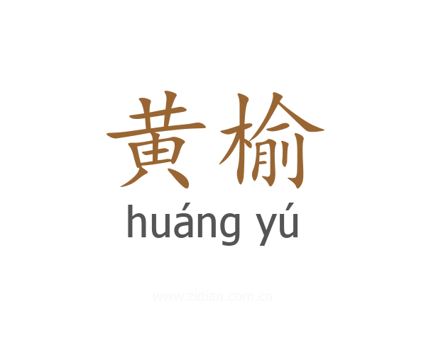 黄榆