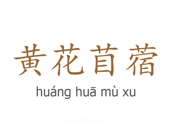 黄花苜蓿