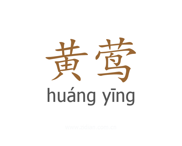 黄莺