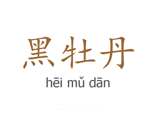 黑牡丹