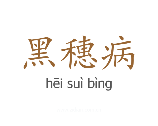 黑穗病