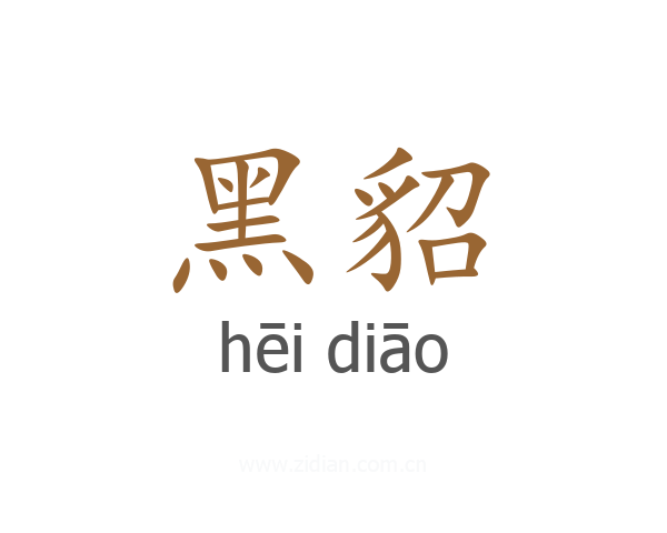 黑貂