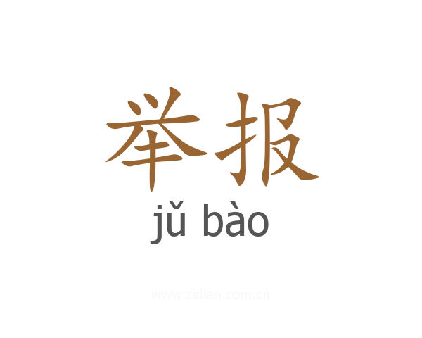 举报
